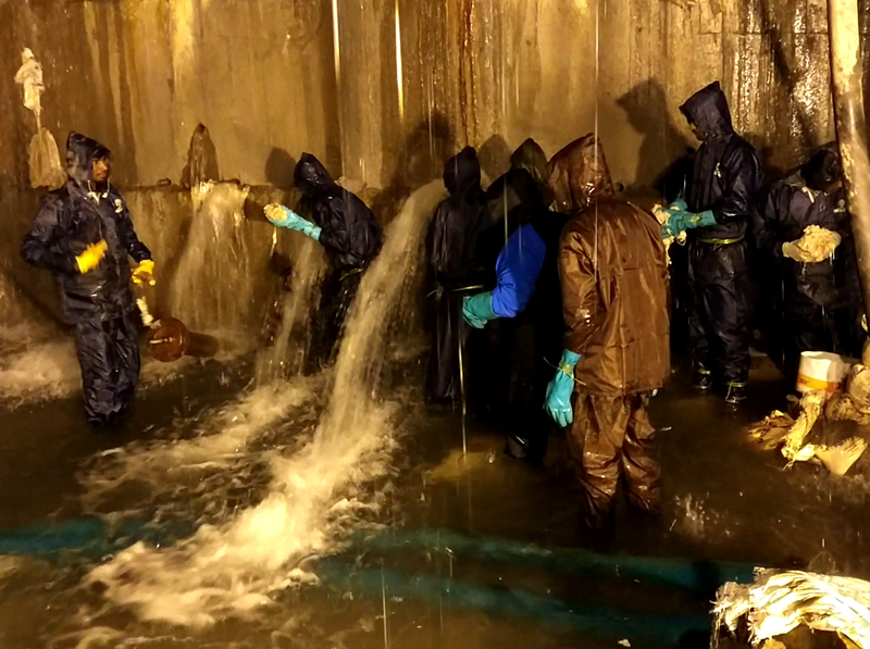 Embedded in our culture