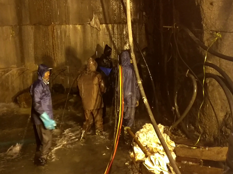 The roof top apartment